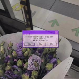 午夜时刻毛片免费观看
